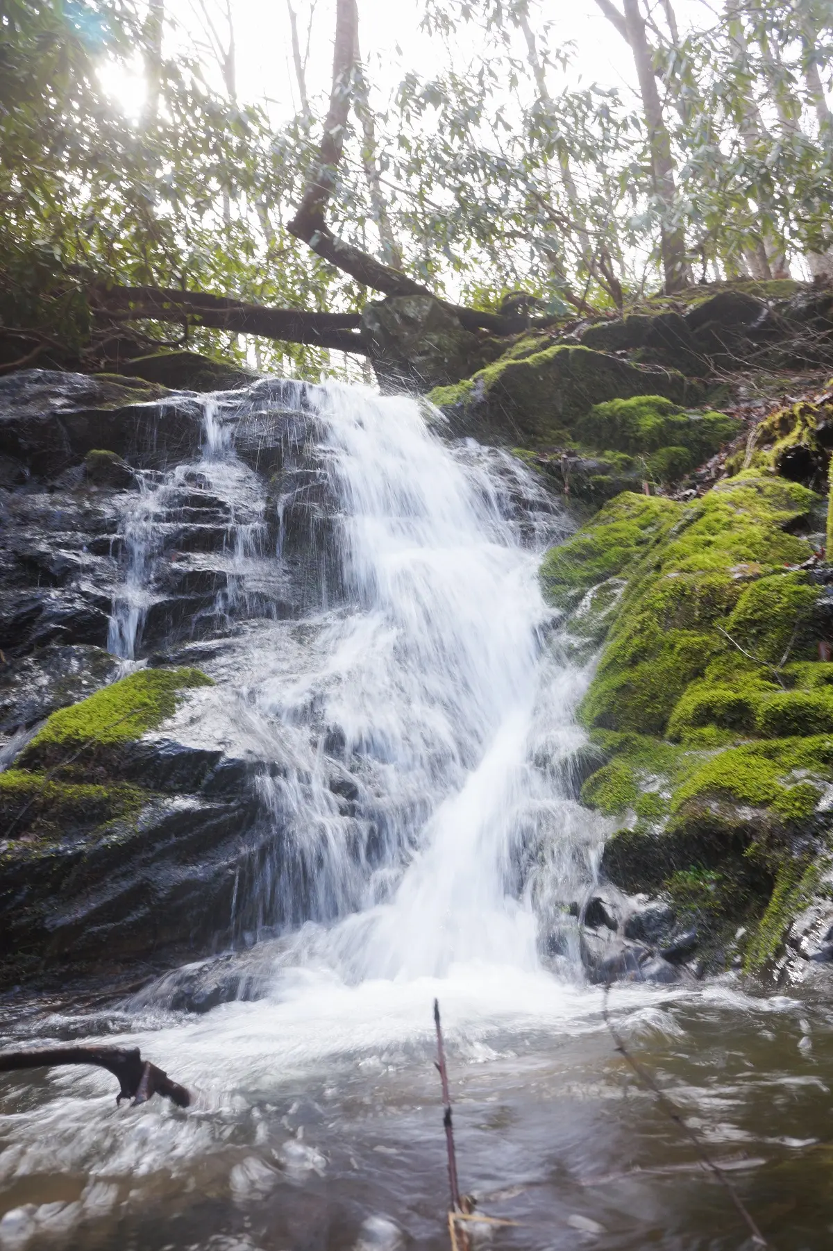 Step Into Tranquility: The Beauty of a Waterfall Walk