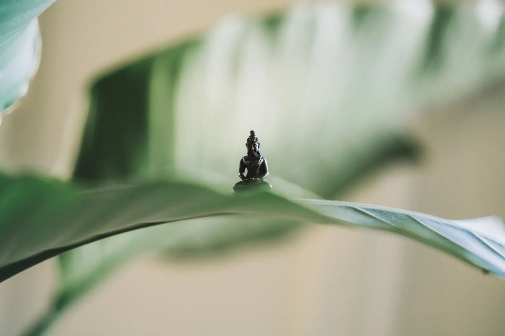 spiritual retreat