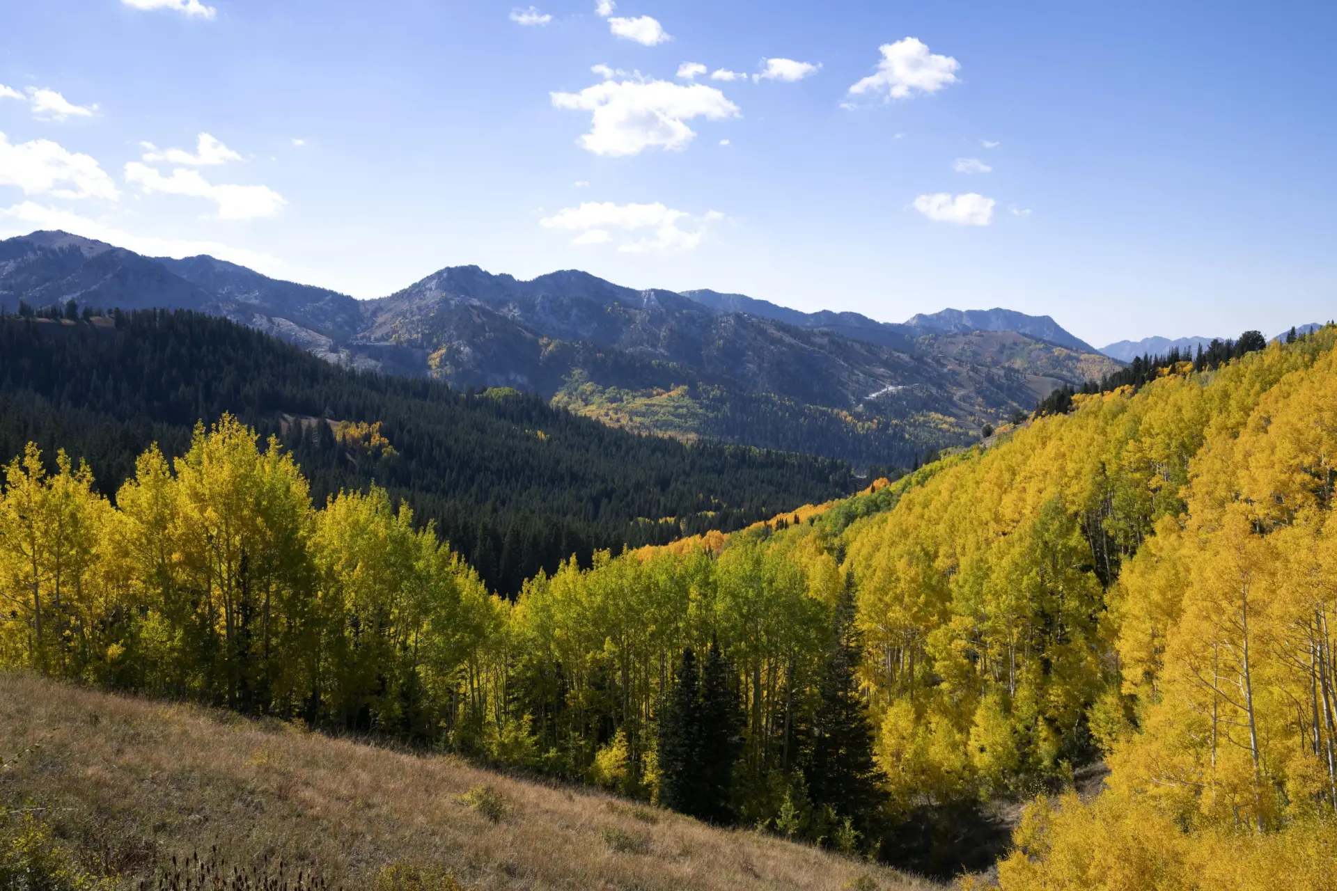 The Role of Nature in Spiritual Restoration