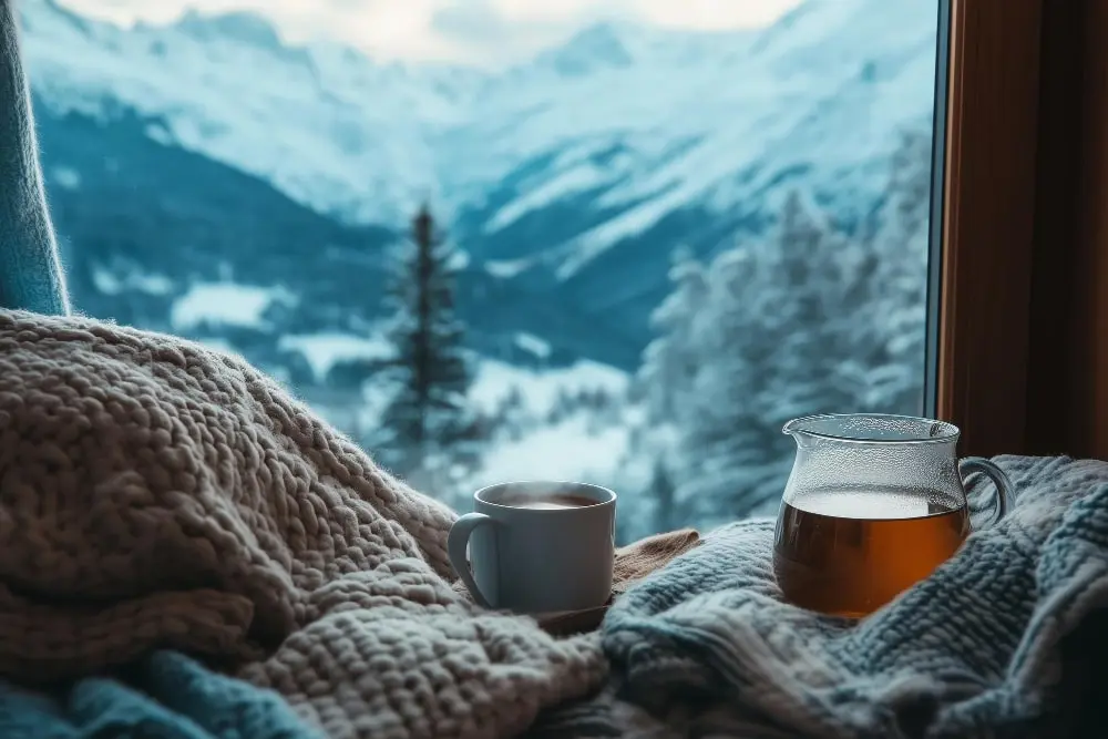 Winter Retreats 2024: Where to Reconnect with Nature and Relax
