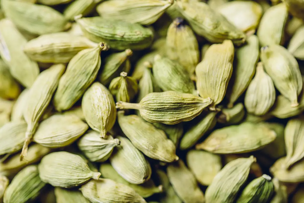 Cardamom Benefits for Mind and Body: A Holistic Approach