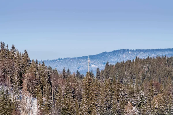 Summit of Rich Mountain, with the fire lookout tower
