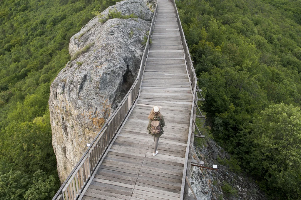 Looking Glass Rock Hike in Blue Ridge