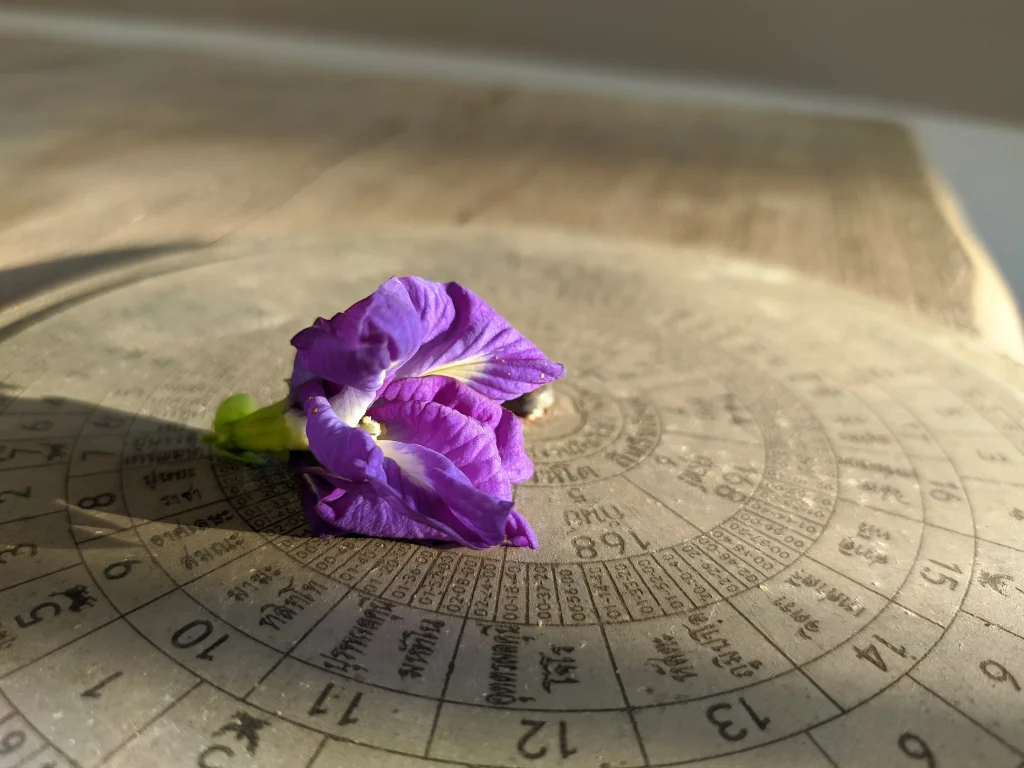 What to Wear Each Day of the Week Based on Vedic Astrology